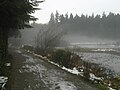 Beaver Lake on a foggy day.