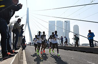 O pelotão dos líderes sobre a Ponte Erasmo em 2017.