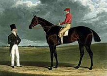 Birmingham (horse).jpg