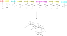 Wiki biosynthesis colistin.png