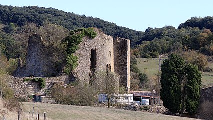 Ruines du château.