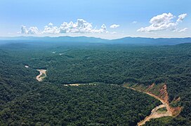 Madidi National Park in the La Paz Department