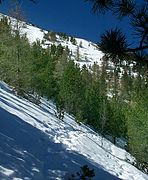 Pente du mont Ventoux en hiver.