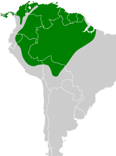 Distribuição do papagaio-campeiro na América Central, Caribe e América do Sul