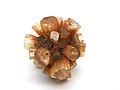 Aragonite Rose