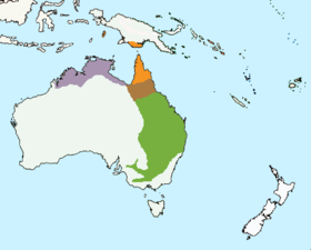 Range subspecies indicated       cyanotis       griseigularis       intergrade zone       albipennis