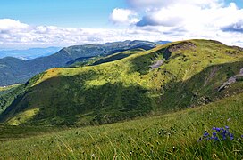 Краєвиди з Говерли