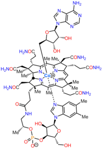 ▵ Structuurformule van cobalamine. Bovenaan in deze structuur is de desoxyadenosylgroep te zien (aan het kobalt-ion) die afsplitsbaar is