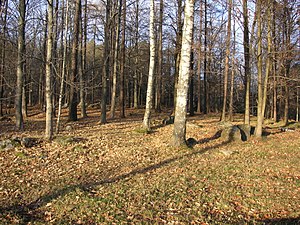 Kaknäs järnåldersgravfält