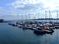 Portaferry Marina.