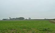 Wierde gezien vanaf de Aalsumerweg met links boerderijgebouwen