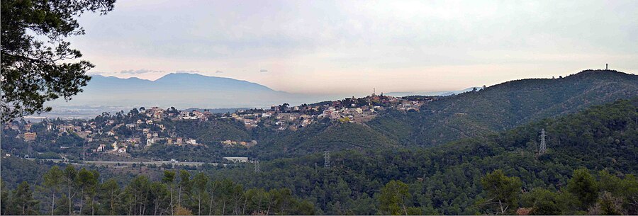 Vista panoràmica de la Floresta