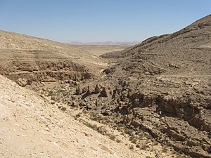 נחל ממשית ממזרח לעיר