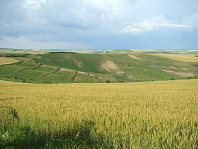 Lângă drumul Turda-Ploscoș (județul Cluj)