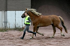 In draf voor een medische keuring, 2010