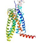 Thumbnail for Corticotropin-releasing hormone receptor 1