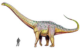 Amphicoelias