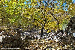 Autumn nature of Asnjan village, Tabriz