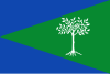 Bandeira de Aliseda