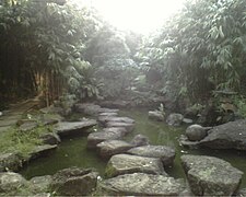 Part of the oriental garden