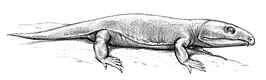 Labidosaurus