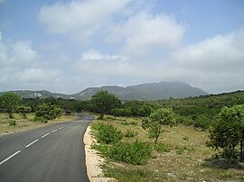 De la garrigue au pic Saint-Loup, le territoire communal.