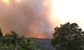 One of the blazes of the 2006 Central Coast bushfires on New Years Day, 2006. Photo taken at Umina Beach.