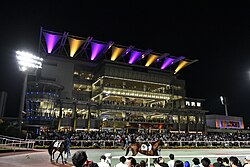 大井競馬場パドック