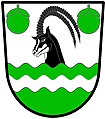 a fess abased - Per fess wavy abaisse [abased] argent and vert, a fess wavy abaisse per fess wavy counterchanged, issuant therefrom a sable antelope's head proper, between in chief two oranges slipped and leaved, vert - White River Town Council, RSA