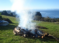 se enciende sobre las piedras…