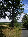 Landschaft bei Magyarszombatfa