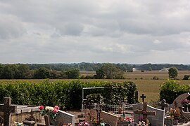 Cultures de maïs dans la plaine de l'Adour à l'est de la commune.