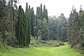 Arborètum de Tervuren