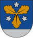 Blason de Aizkraukle