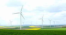 Farbfotografie von mehreren Windrädern auf gelben, braunen und grünen Feldern. Im Vordergrund steht ein Feldhügel.