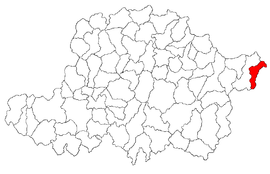 Location in Arad County