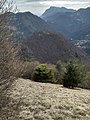 Monte Denai, panorama della località Piazza ripreso dal fondo delle Pozze, sullo sfondo il monte Pizzocolo