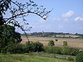 Les marais gâts et le donjon de Broue