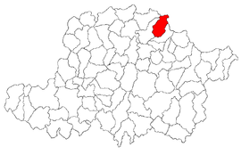 Location in Arad County