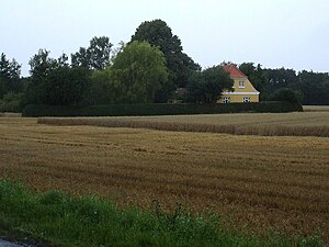 Havløkke: Havløkkevej 41