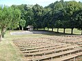 Le théâtre de verdure