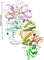 Structure of full-length AMPK complex with activator