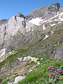 Sous le pic Robiñera, dans la partie centrale du cirque, le chemin des mines, envahi par l'herbe, avait été là aussi aménagé sur la couche de calcaire crétacé blanc