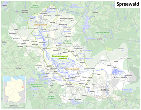 Image illustrative de l’article Forêt de la Sprée