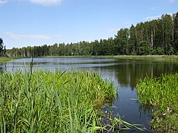 Lake Vasula in Lombi