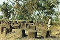 Image 26Megalithic alignments in Senegal (from History of Senegal)