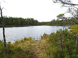 Tornbergssjön, september 2018.