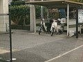 千葉県警の交番用のオートバイ　スズキ・バーディー90（左）とホンダ･スーパーカブC90（右）