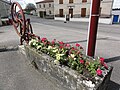 Fontaine fleurie.