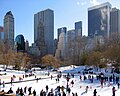 Wollman Rink, Central Park